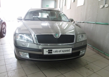 Чип тюнинг, отключение катализаторов и клапана EGR на Skoda Octavia 1.6 FSI 116hp 2008 года выпуска